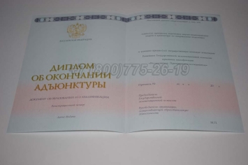 Диплом Адъюнктуры 2024г в Бийске